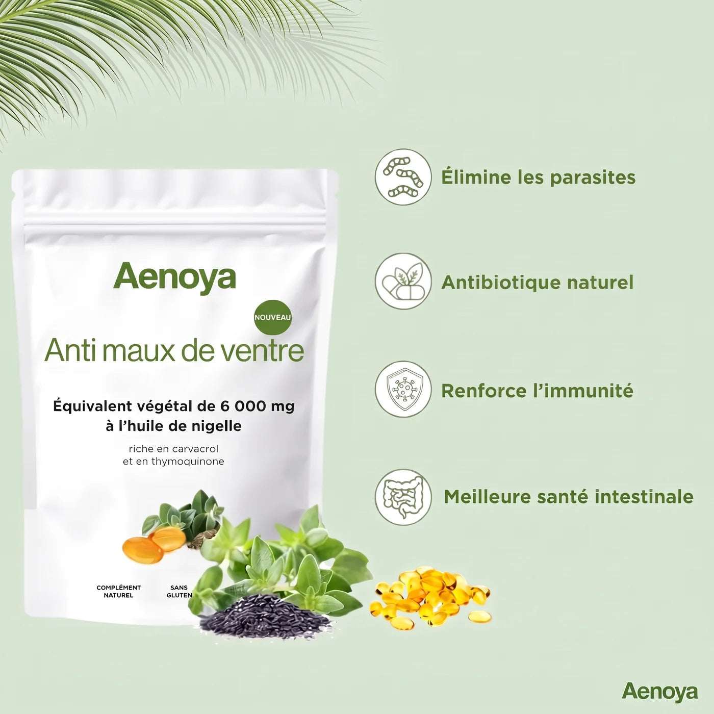 Détox Parasites Aenoya : élimine les parasites, antibiotique naturel, renforce l'immunité