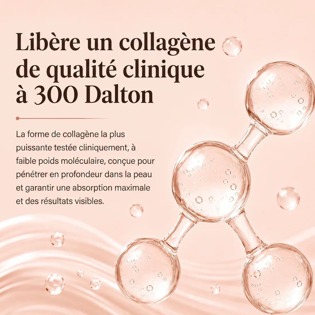 Collagène clinique à 300 Dalton