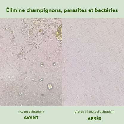 Avant / après 14 jours d'utilisation, au microscope