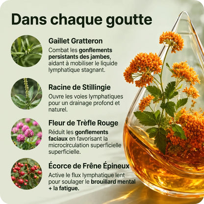 Huile de drainage Lymphatique