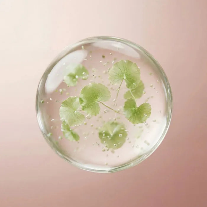 Actif du s&eacute;rum&nbsp;: Centella asiatica