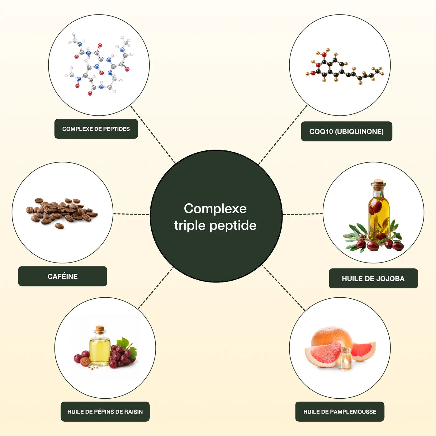 Complexe de peptides, CoQ10, caf&eacute;ine, huiles de jojoba, de p&eacute;pins de raisin et de pamplemousse